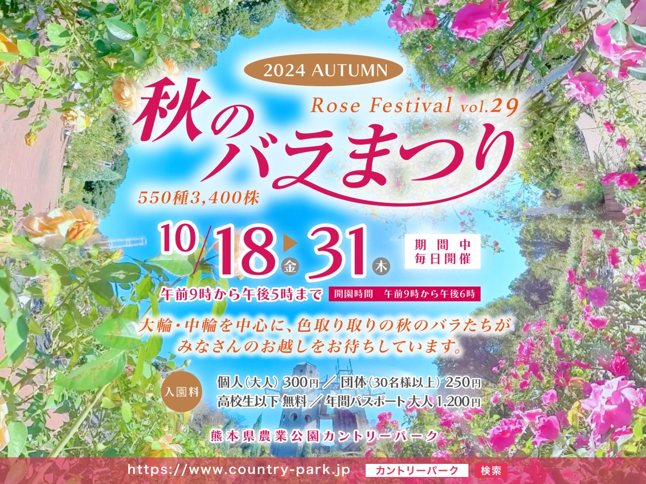 令和6年　秋のバラまつりのご案内　Autumn Rose festival vol.29