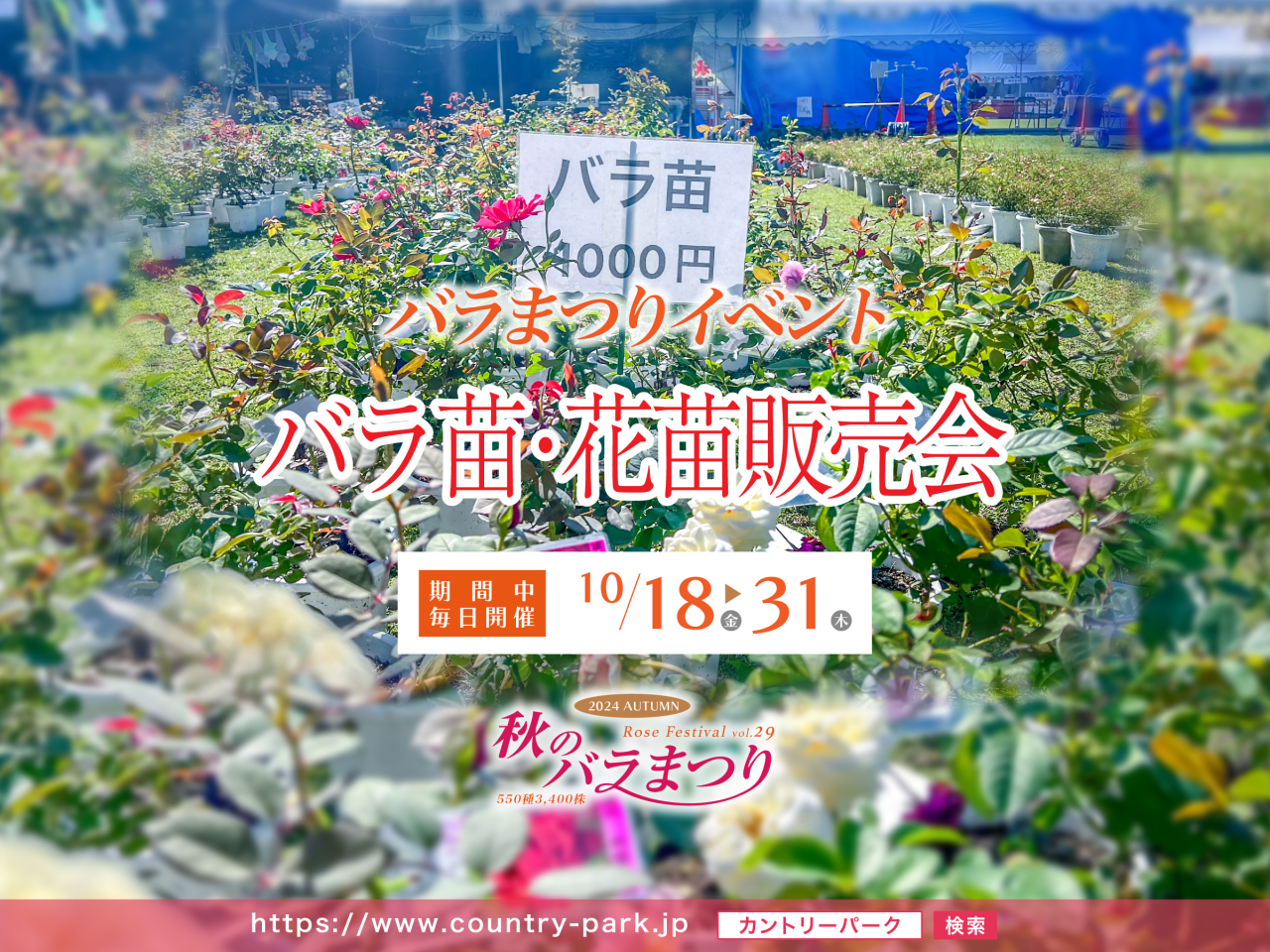 バラ苗・花苗販売会