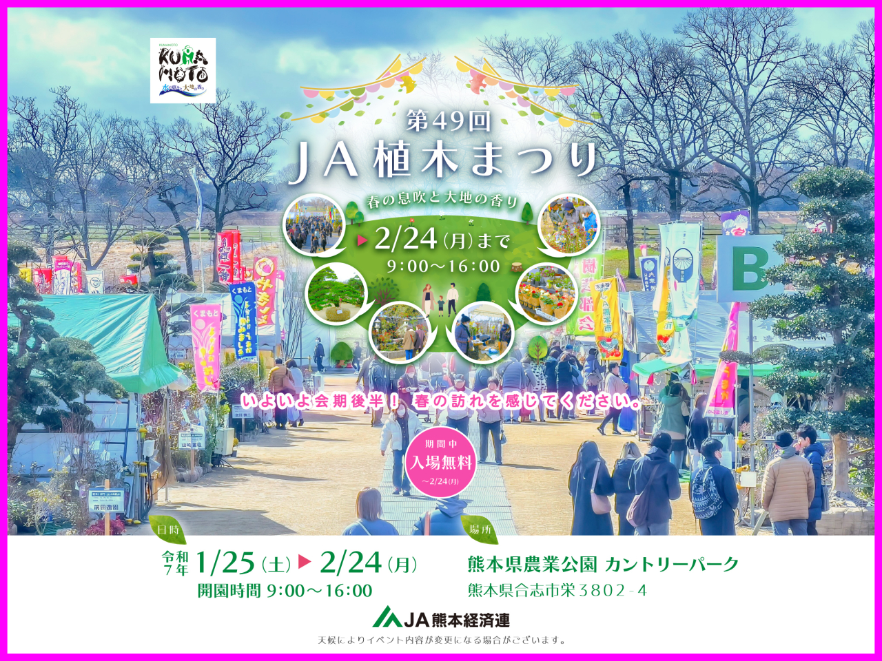 第49回 ＪＡ植木まつり 　会期後半開催中　その1