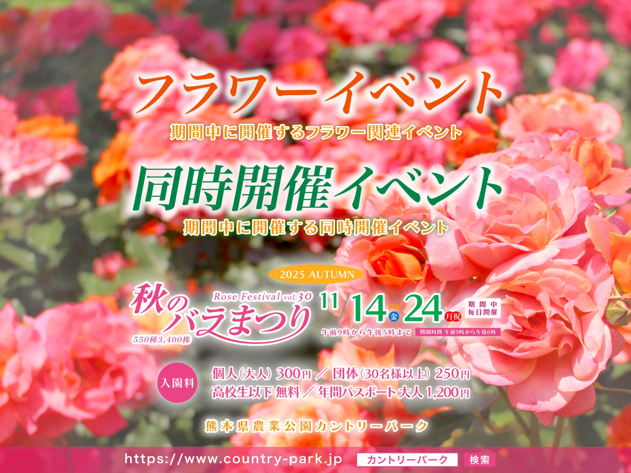 第30回 秋のバラまつり 開催イベントのご案内 第30回 秋のバラまつり 開催イベントのご案内