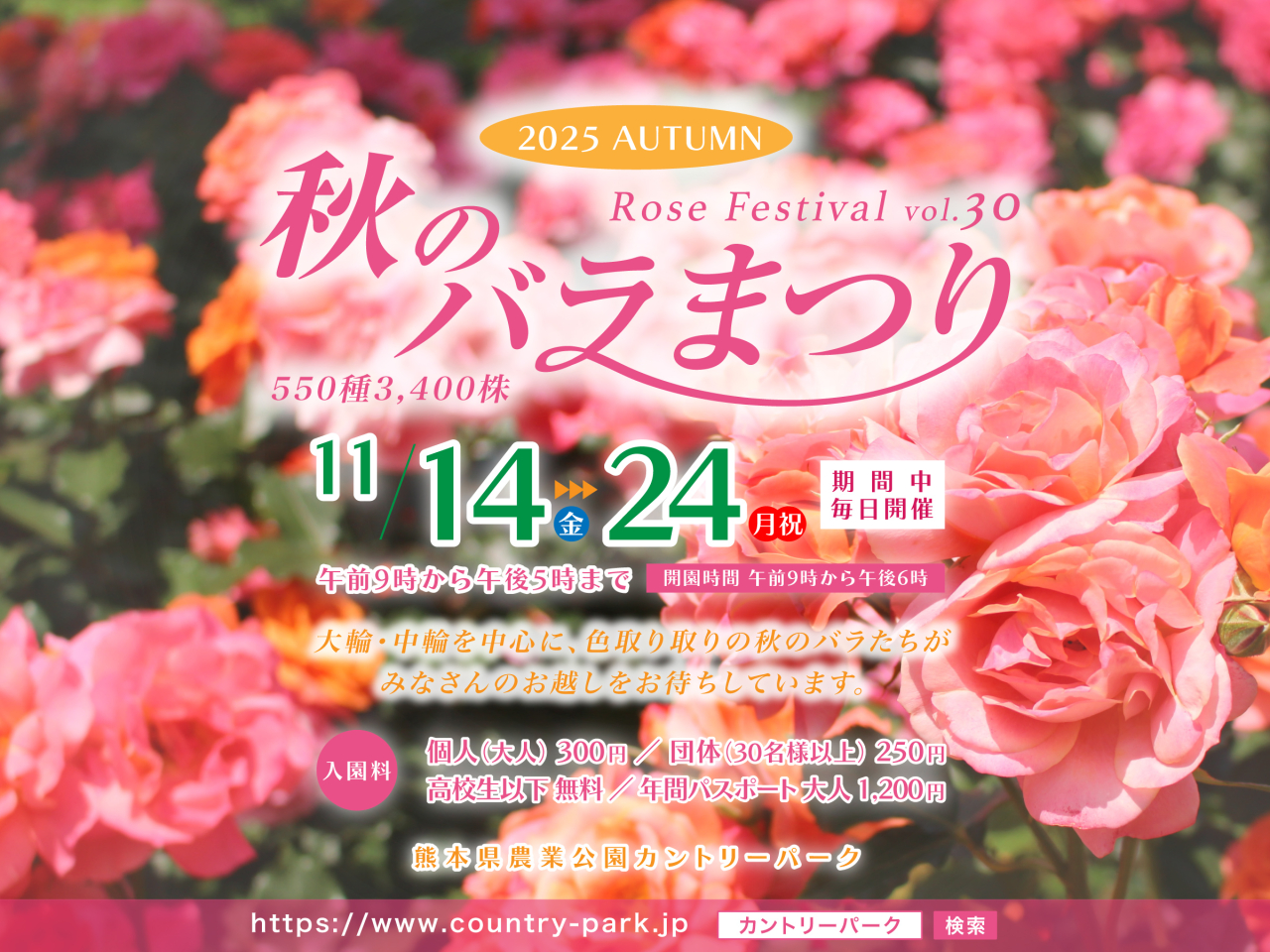 第30回 秋のバラまつりのご案内 第30回 秋のバラまつりのご案内