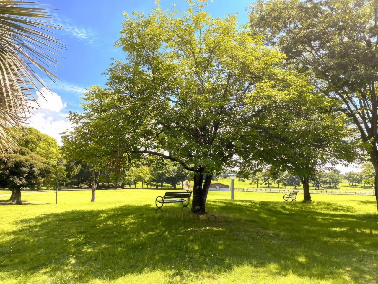 高校生による「憩いのベンチ」 新設と修繕の物語・終わり
