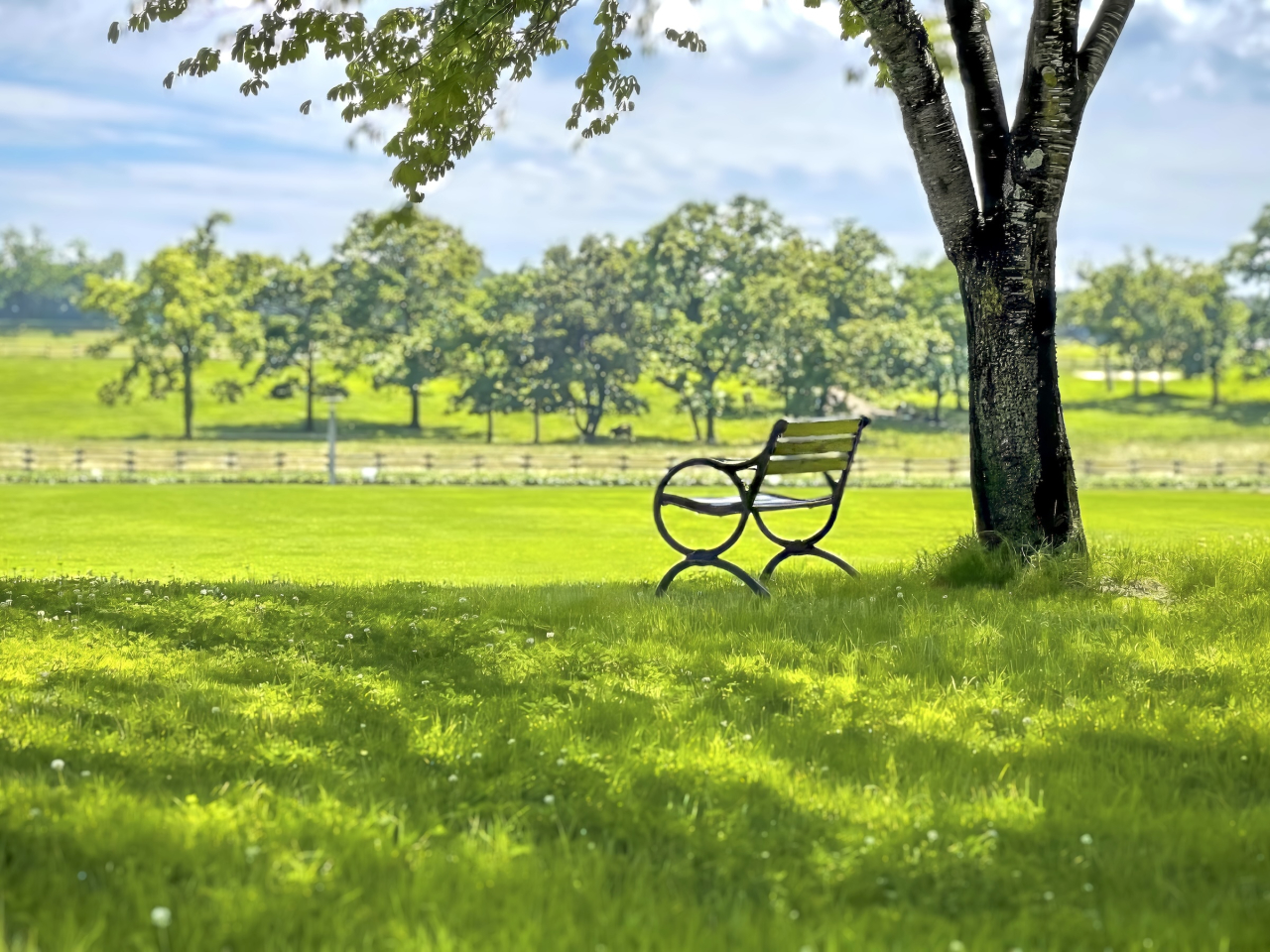 高校生による「憩いのベンチ」 新設と修繕の物語 高校生による「憩いのベンチ」 新設と修繕の物語